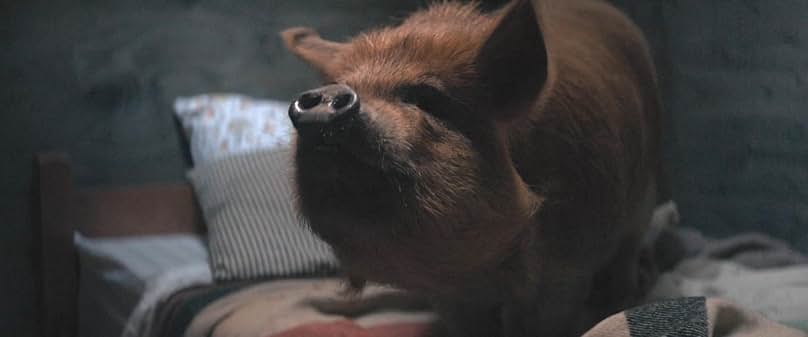 Pig movies Netflix